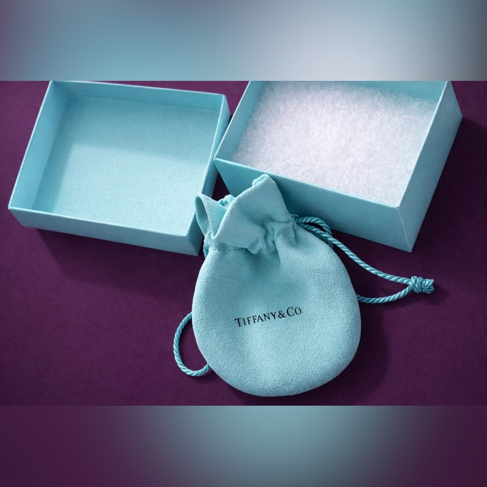 Tiffany & Co Blue Box + Pouch Set Authentic Jewelry Packaging Gift Ready - Picture 3 of 6